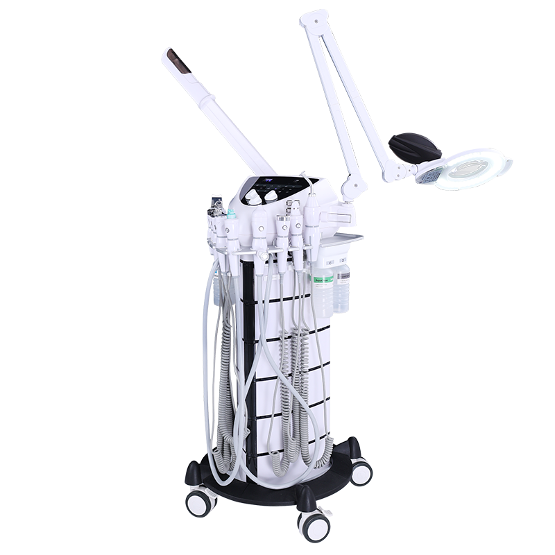 H5001D